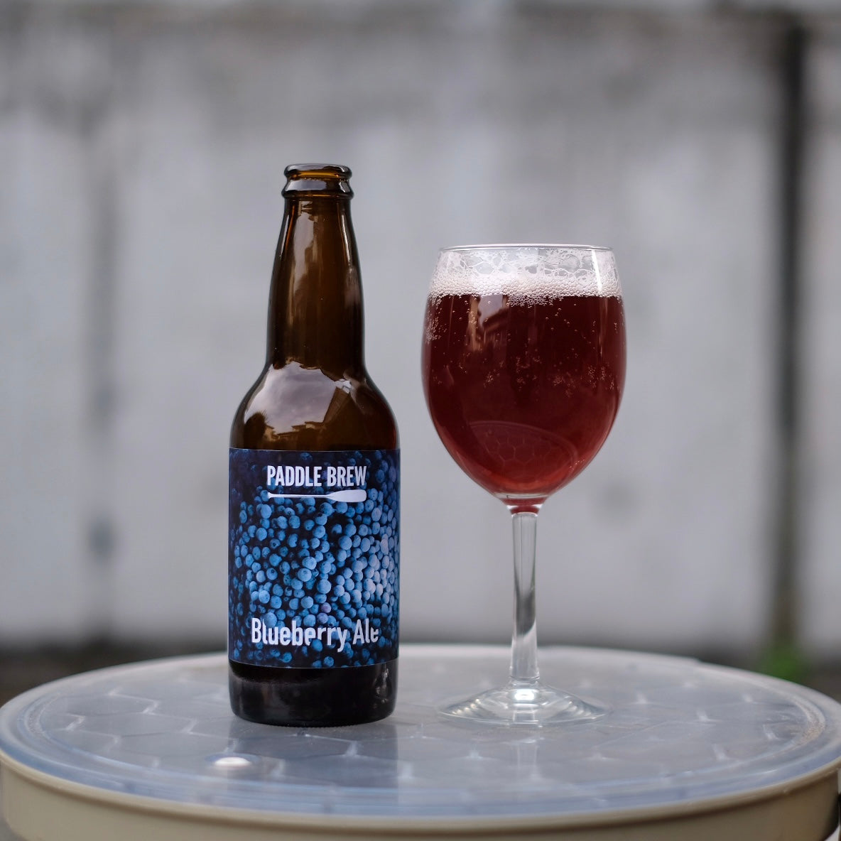 PADDLE BREW Blueberry Ale
